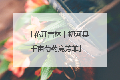 花开吉林｜柳河县千亩芍药竞芳菲