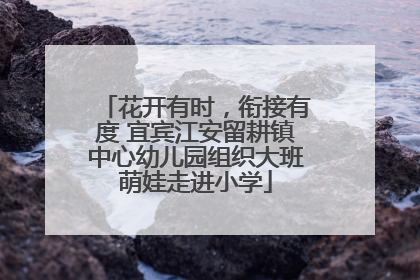 花开有时，衔接有度 宜宾江安留耕镇中心幼儿园组织大班萌娃走进小学