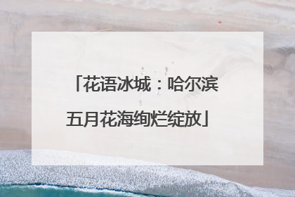 花语冰城：哈尔滨五月花海绚烂绽放