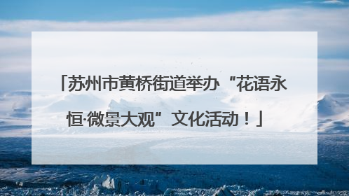 苏州市黄桥街道举办“花语永恒·微景大观”文化活动！
