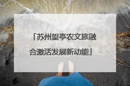苏州望亭农文旅融合激活发展新动能
