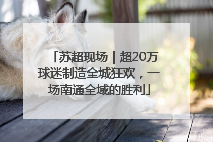 苏超现场｜超20万球迷制造全城狂欢，一场南通全域的胜利