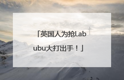 英国人为抢Labubu大打出手！