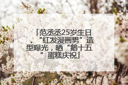 范丞丞25岁生日，“红发漫画男”造型曝光，晒“鹅十五”蛋糕庆祝