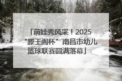 萌娃秀风采！2025“滕王阁杯”南昌市幼儿篮球联赛圆满落幕