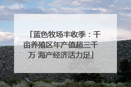 蓝色牧场丰收季：千亩养殖区年产值超三千万 海产经济活力足