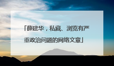 薛建华，私藏、浏览有严重政治问题的网络文章