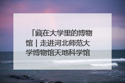藏在大学里的博物馆｜走进河北师范大学博物馆天地科学馆：在校园里赴一场“宇宙之约”