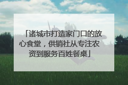 诸城市打造家门口的放心食堂，供销社从专注农资到服务百姓餐桌