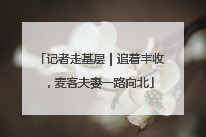 记者走基层｜追着丰收，麦客夫妻一路向北