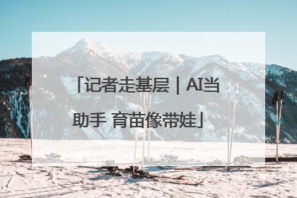 记者走基层｜AI当助手 育苗像带娃