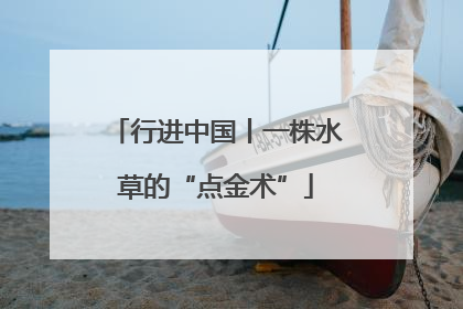 行进中国丨一株水草的“点金术”