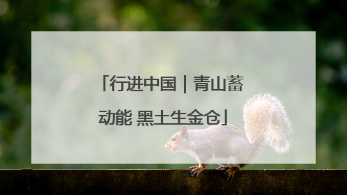行进中国｜青山蓄动能 黑土生金仓