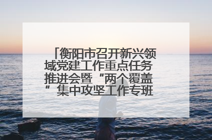 衡阳市召开新兴领域党建工作重点任务推进会暨“两个覆盖”集中攻坚工作专班 第一次会议