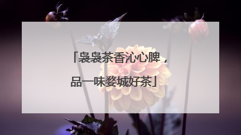 袅袅茶香沁心脾，品一味婺城好茶