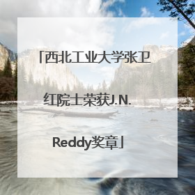 西北工业大学张卫红院士荣获J.N.Reddy奖章