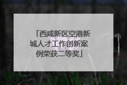 西咸新区空港新城人才工作创新案例荣获二等奖