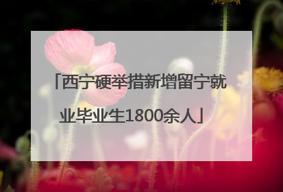 西宁硬举措新增留宁就业毕业生1800余人