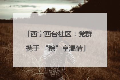 西宁西台社区：党群携手 “粽”享温情