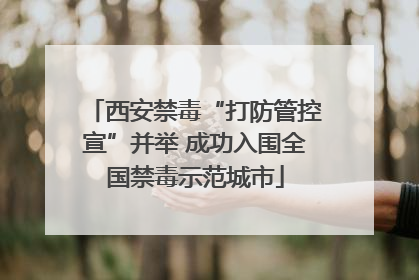西安禁毒“打防管控宣”并举 成功入围全国禁毒示范城市