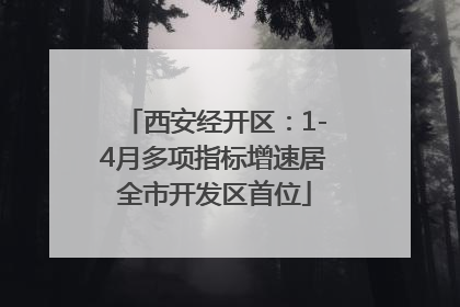 西安经开区：1-4月多项指标增速居全市开发区首位