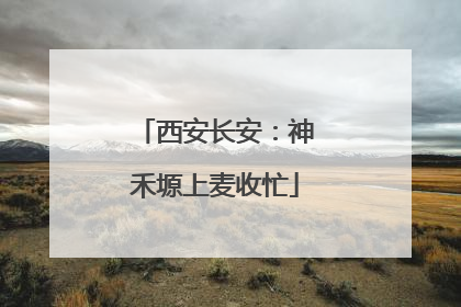 西安长安：神禾塬上麦收忙