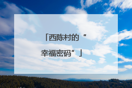 西陈村的“幸福密码”