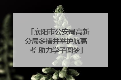 襄阳市公安局高新分局多措并举护航高考 助力学子圆梦