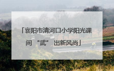 襄阳市清河口小学阳光课间 “武” 出新风尚