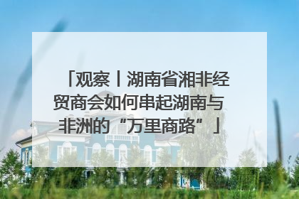 观察丨湖南省湘非经贸商会如何串起湖南与非洲的“万里商路”