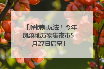 解锁新玩法！今年凤溪地万物集夜市5月27日启幕