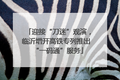 迎接“刀迷”观演，临沂增开高铁专列推出“一码通”服务