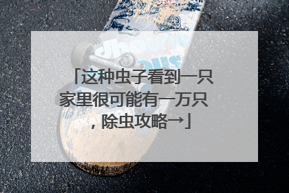 这种虫子看到一只家里很可能有一万只，除虫攻略→