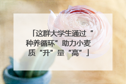 这群大学生通过“种养循环”助力小麦质“升”量“高”