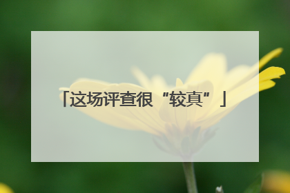 这场评查很“较真”
