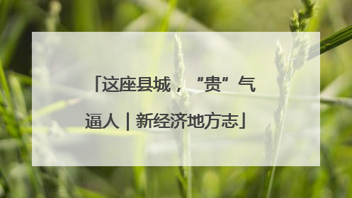这座县城，“贵”气逼人｜新经济地方志