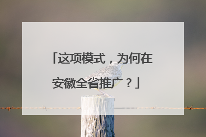 这项模式，为何在安徽全省推广？