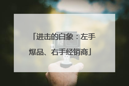进击的白象：左手爆品、右手经销商