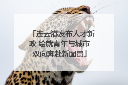 连云港发布人才新政 绘就青年与城市双向奔赴新图景