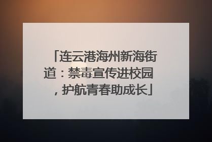 连云港海州新海街道：禁毒宣传进校园，护航青春助成长