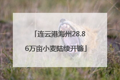 连云港海州28.86万亩小麦陆续开镰