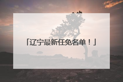 辽宁最新任免名单！