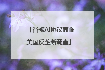 谷歌AI协议面临美国反垄断调查