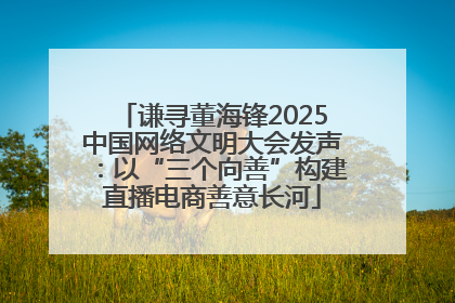 谦寻董海锋2025中国网络文明大会发声：以“三个向善”构建直播电商善意长河