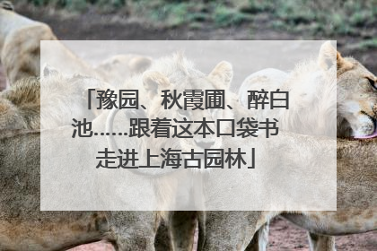 豫园、秋霞圃、醉白池……跟着这本口袋书走进上海古园林
