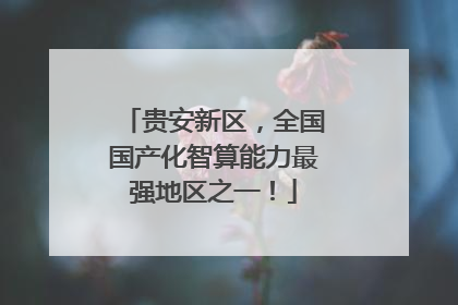 贵安新区，全国国产化智算能力最强地区之一！