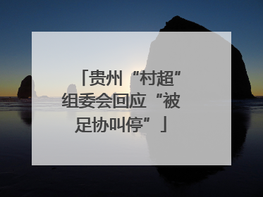 贵州“村超”组委会回应“被足协叫停”