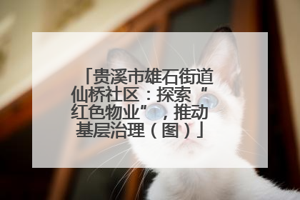 贵溪市雄石街道仙桥社区：探索“红色物业”，推动基层治理（图）