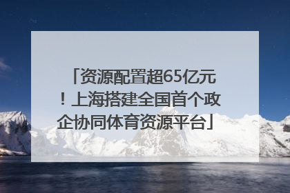 资源配置超65亿元！上海搭建全国首个政企协同体育资源平台