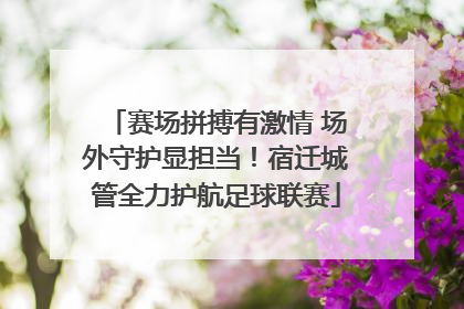 赛场拼搏有激情 场外守护显担当！宿迁城管全力护航足球联赛